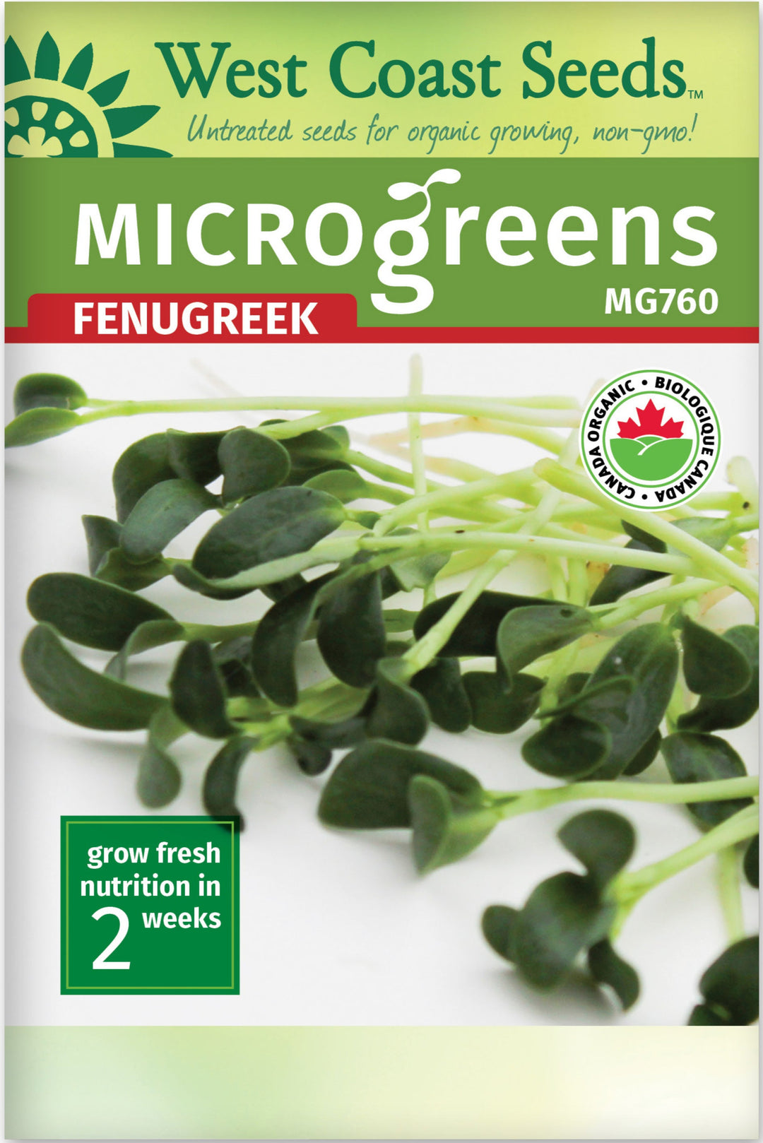 Organic Microgreen Fenugreek - West Coast Seeds