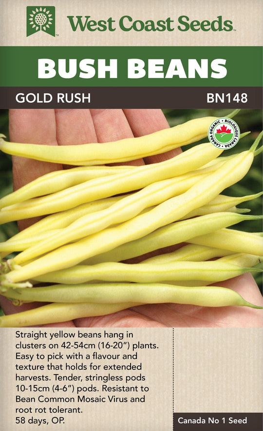 Organic Bean Gold Rush Bush - West Coast Seeds