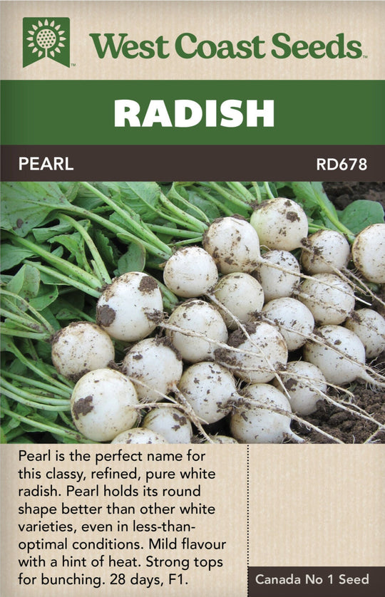 Radish Pearl - West Coast Seeds