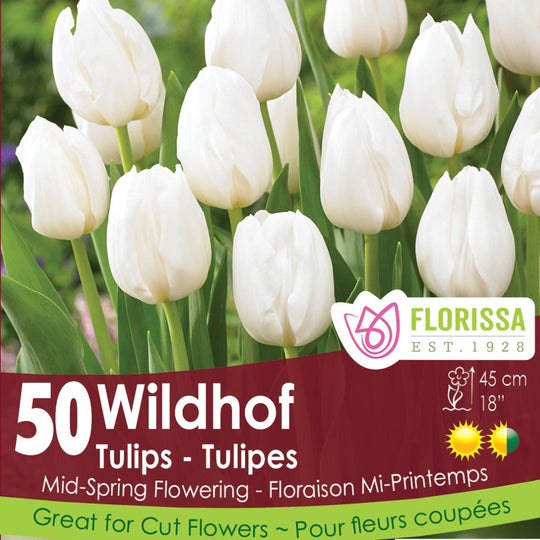 Tulip - Wildhof - Mesh Bag, 50 Pack