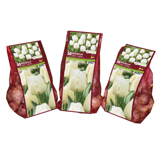 Tulip - Wildhof - Mesh Bag, 50 Pack