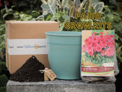 Introducing: The Wildwood Grow Kits