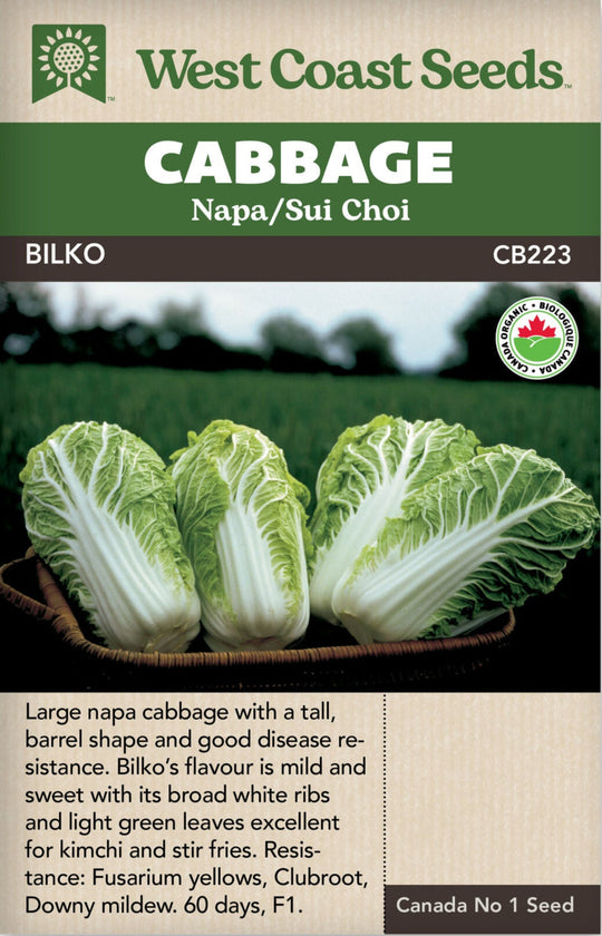 Organic Cabbage Bilko - West Coast Seeds