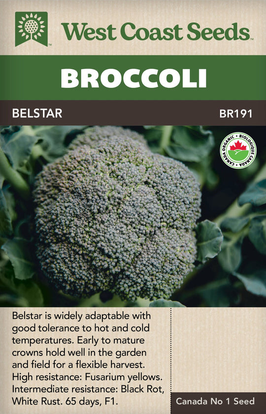 Organic Broccoli Belstar - West Coast Seeds