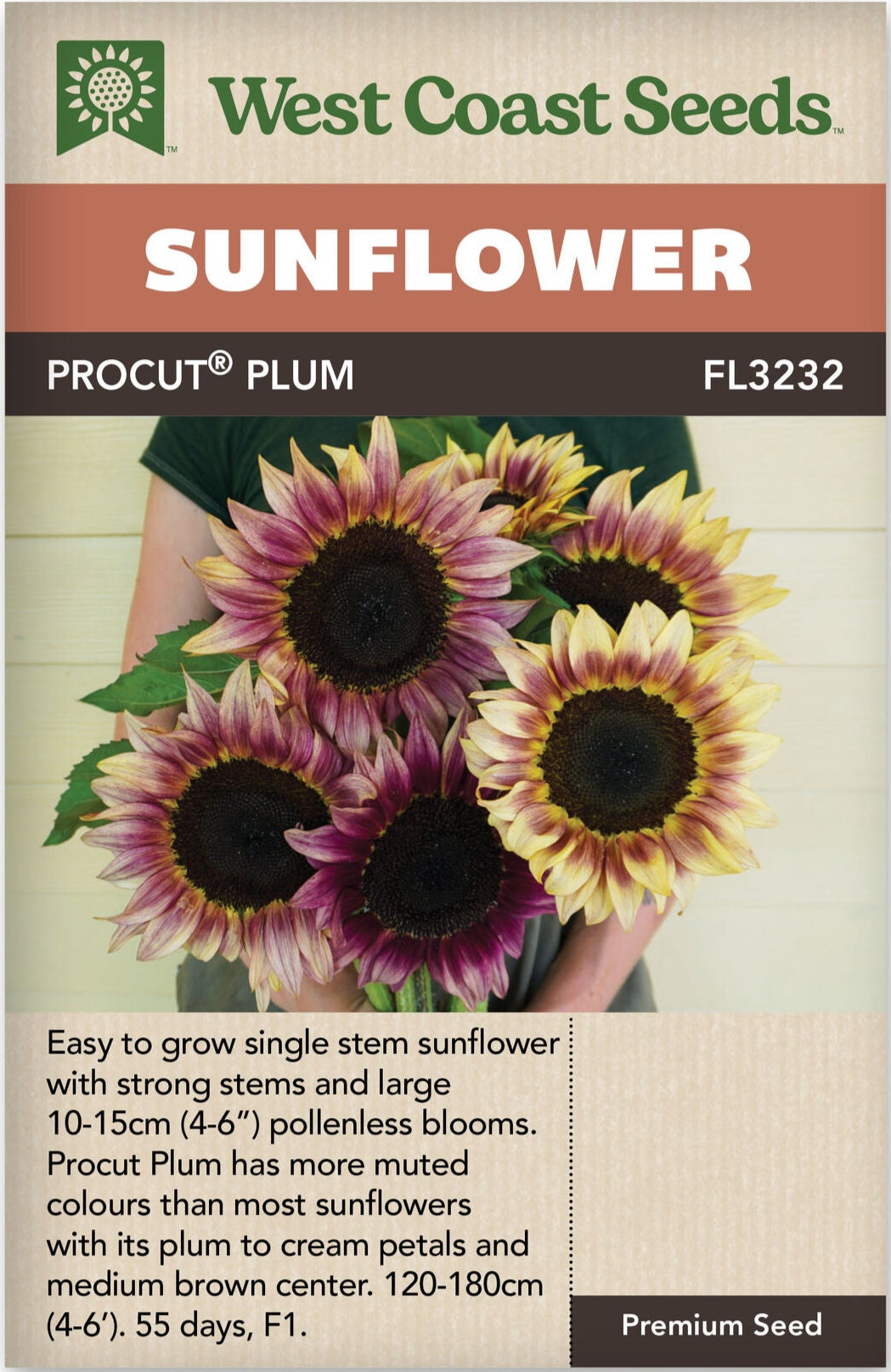 Sunflower ProCut Plum - West Coast Seeds