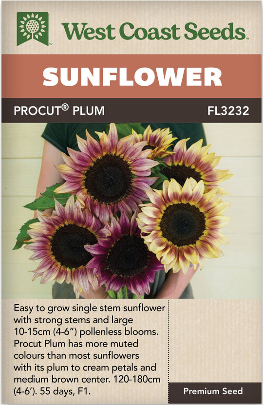 Sunflower ProCut Plum - West Coast Seeds