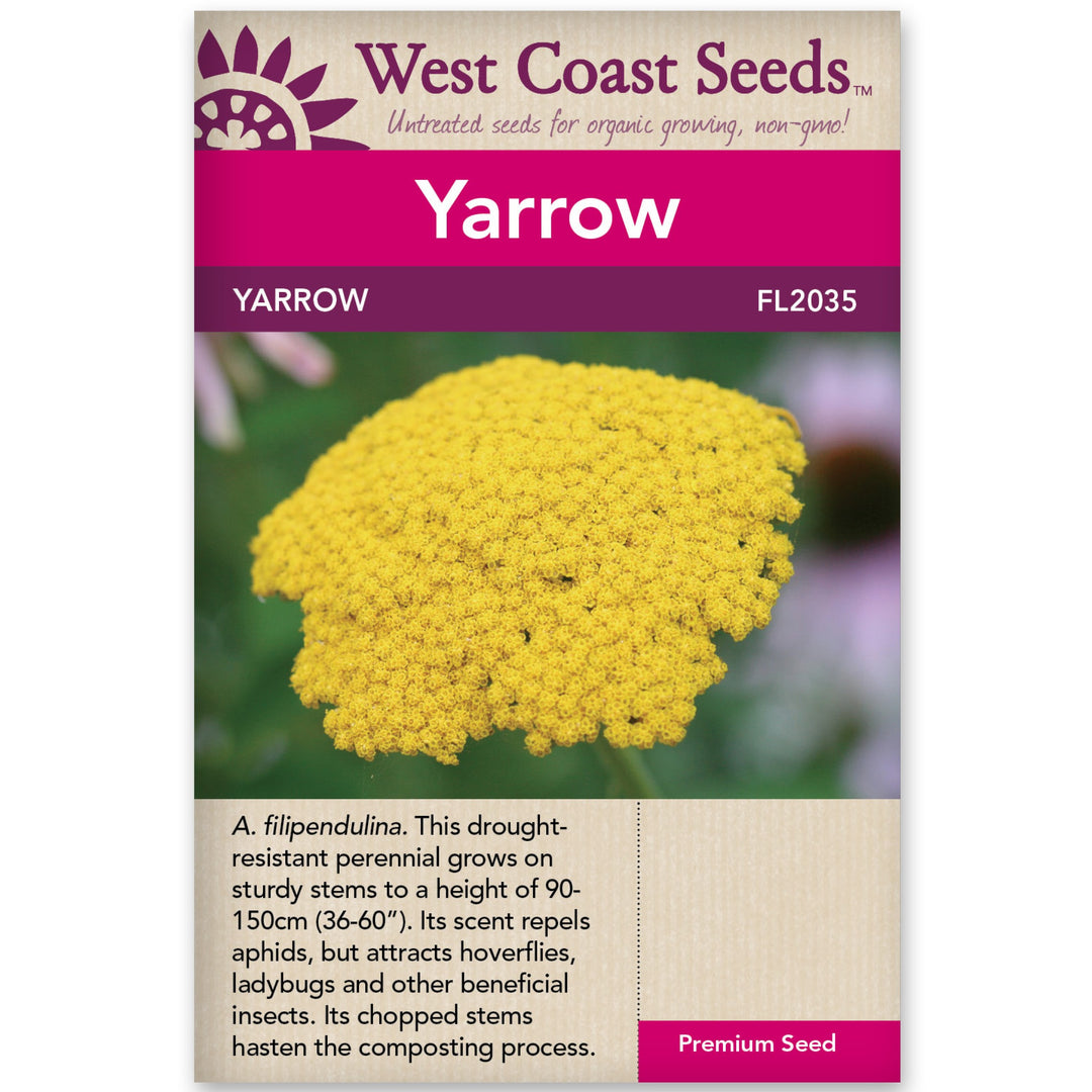 Yarrow - West Coast Seeds