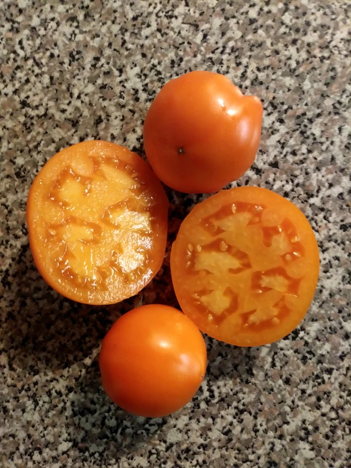 Tomato Yellow Mandarin - Eagleridge Seeds