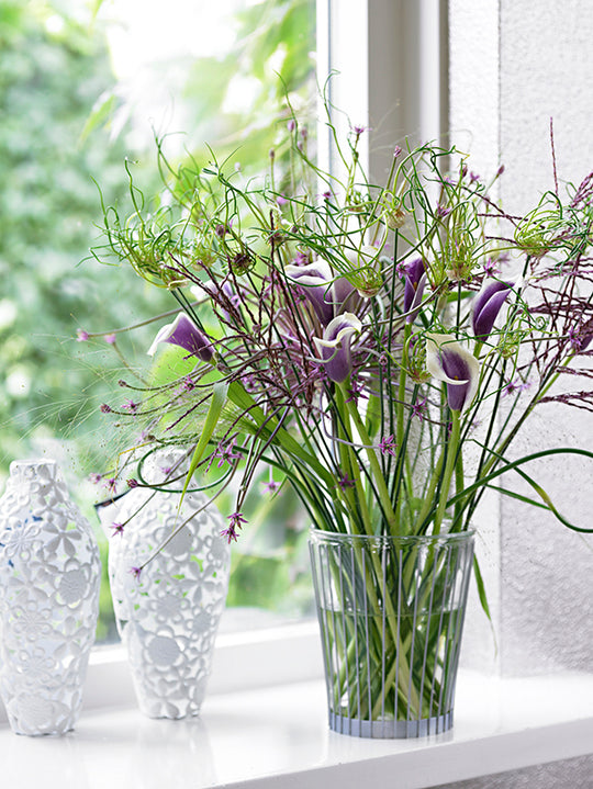 Calla Lily - Picasso