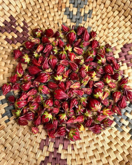 Hibiscus Zinger - Renee's Garden