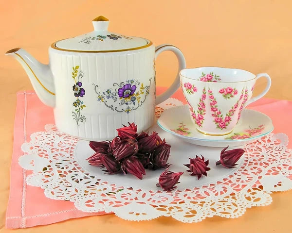 Hibiscus Zinger - Renee's Garden