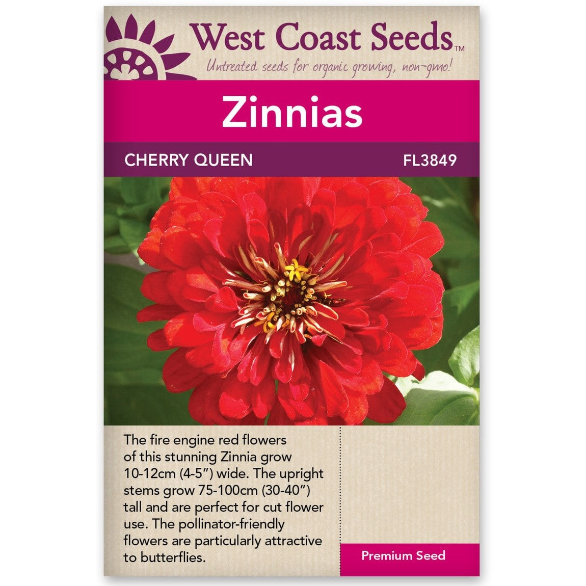Zinnia Cherry Queen - West Coast Seeds