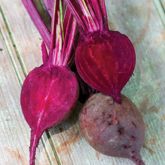 Organic Beet Detroit Dark Red - Burpee Seeds