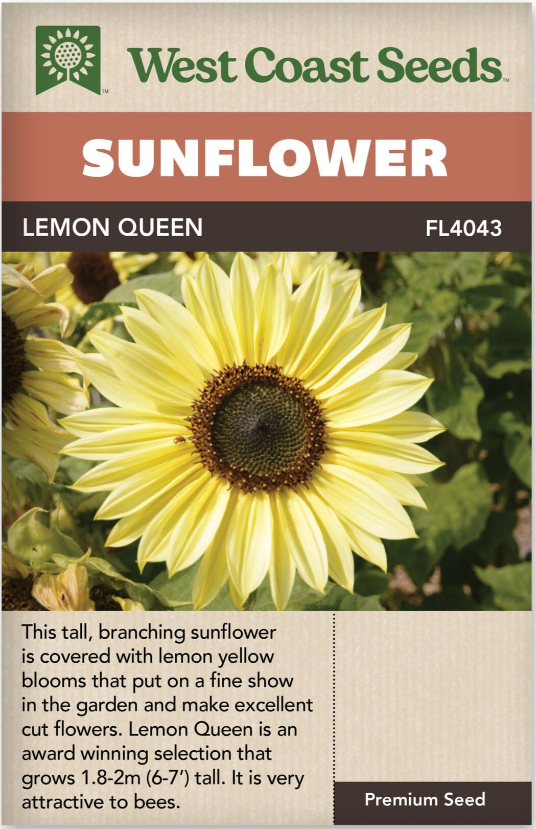 Sunflower Lemon Queen - West Coast Seeds