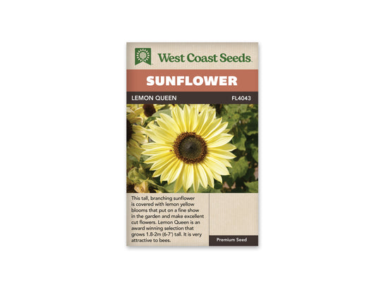 Sunflower Lemon Queen - West Coast Seeds