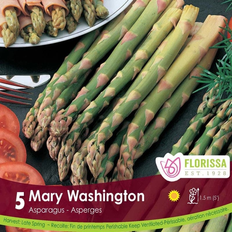 Asparagus - Mary Washington, 5 Pack