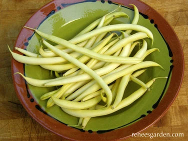 Organic Bean French Gold - Renee's Garden