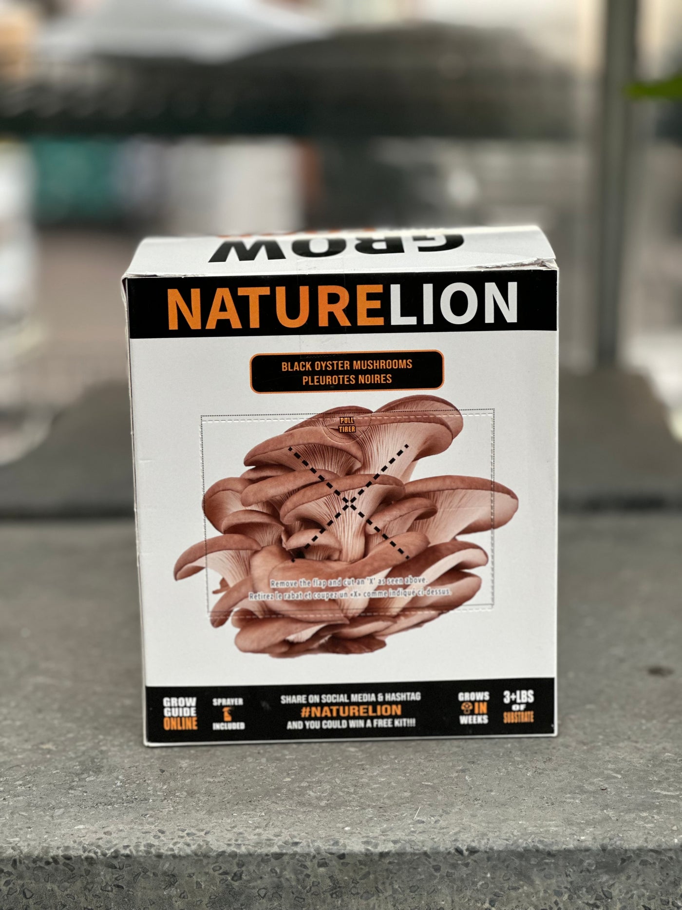 Nature Lion Mushroom Growing Kit