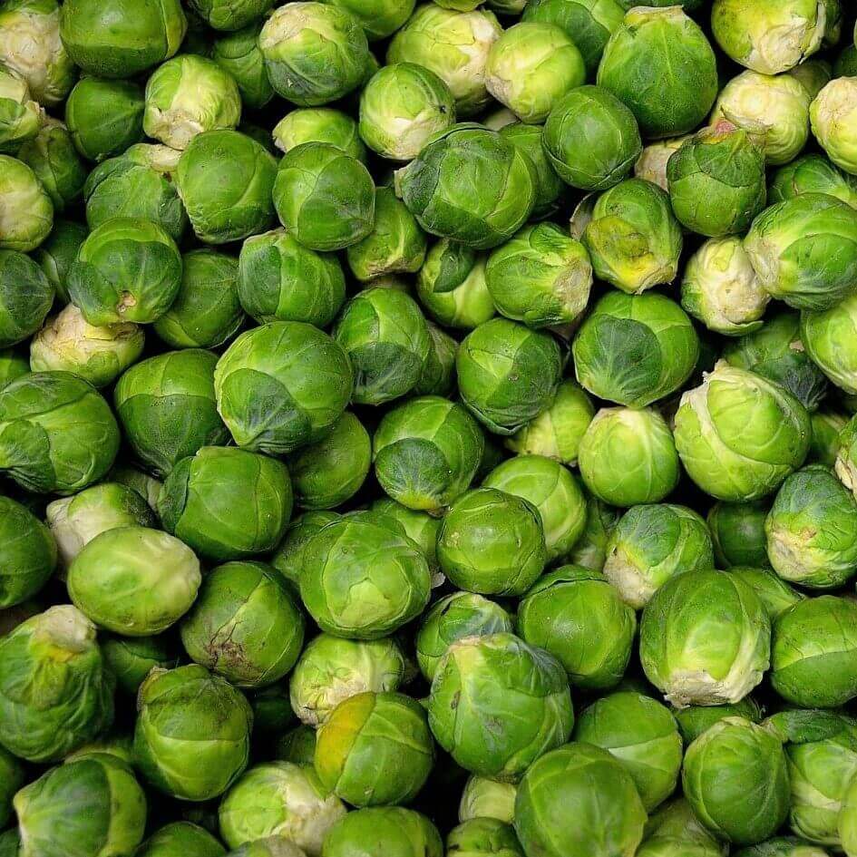 Brussels Sprouts Long Island Imp. - Ontario Seed Company