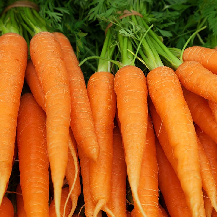 Carrot Touchon Deluxe - Saanich Organics