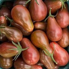 Tomato Chocolate Pear - Eagleridge Seeds