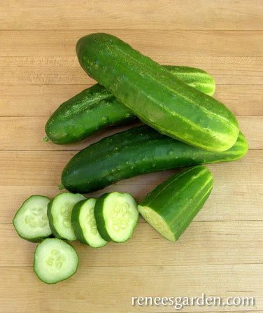 Organic Cucumber Straight Eight - Renee's Garden