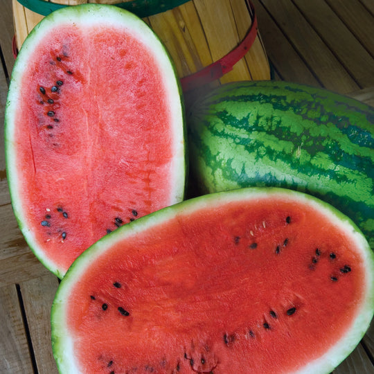 Organic Watermelon Jubilee - Burpee Seeds