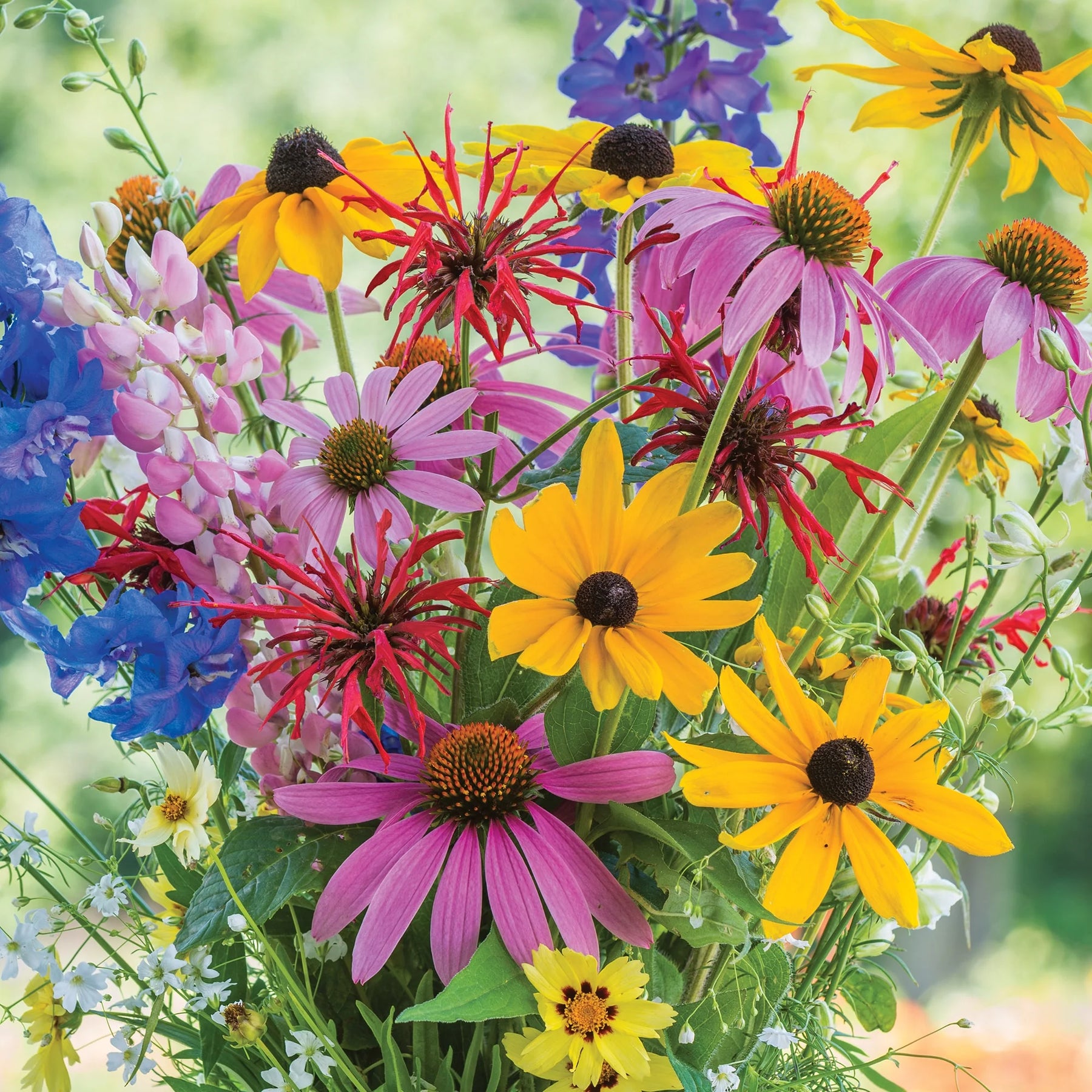 burpee wildflower seed mix for pollinators Wildflower Cutting Mix
