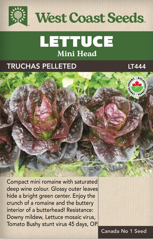 Organic Lettuce Truchas Pelleted - West Coast Seeds