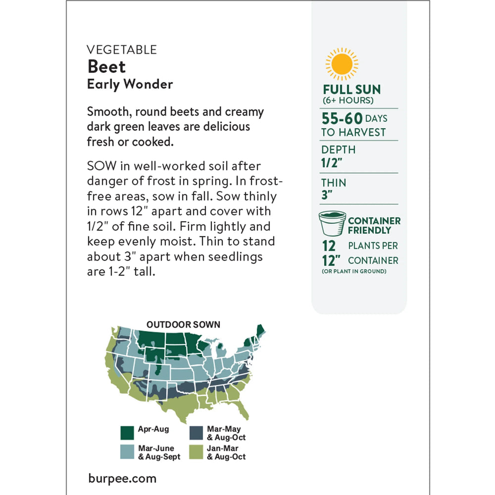 Organic Beet Early Wonder -  Burpee Seeds