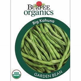 Organic Bean Big Kahuna - Burpee Seeds