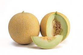 Melon - Passport Hybrid - Pacific Northwest Seeds