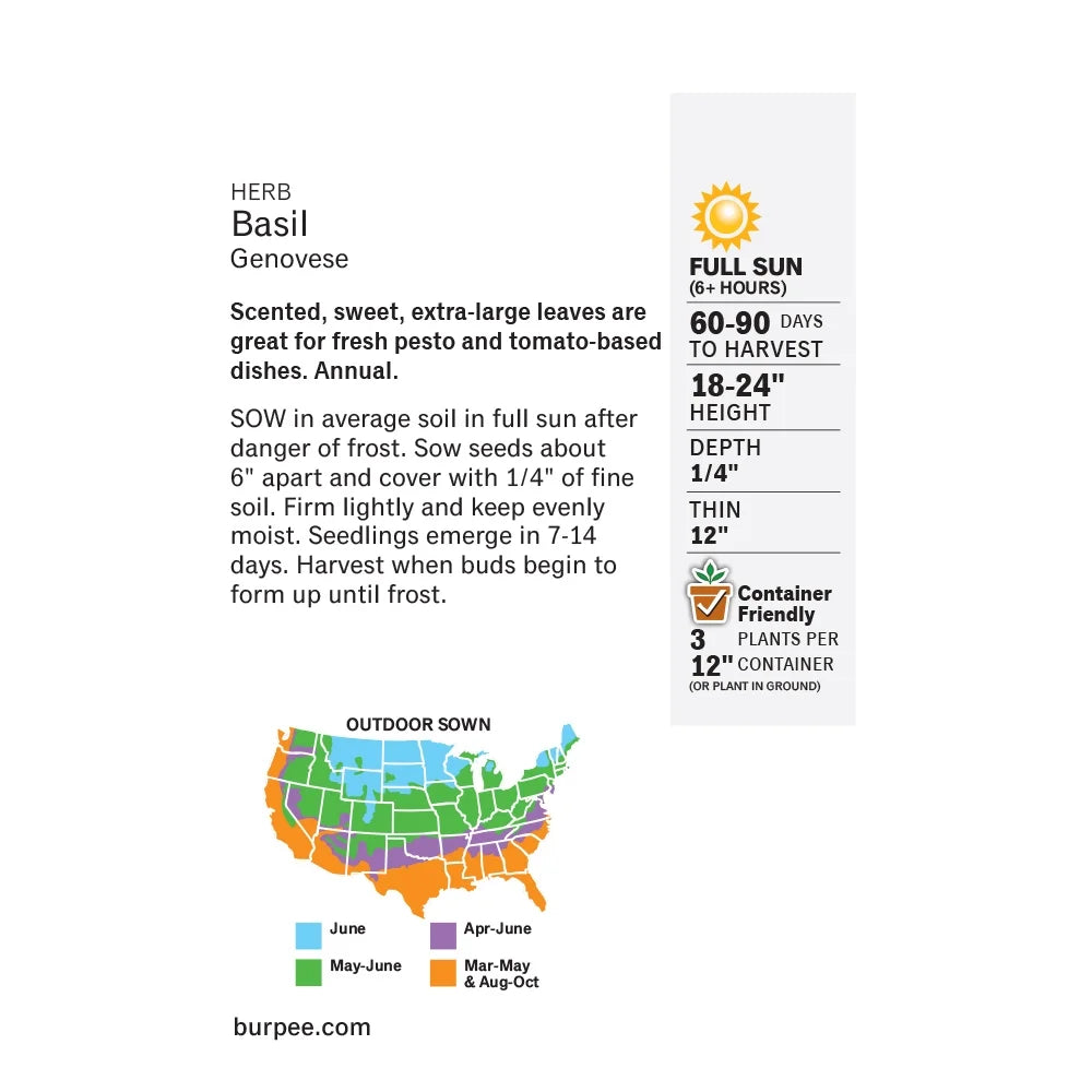 Basil Genovese - Burpee Seeds
