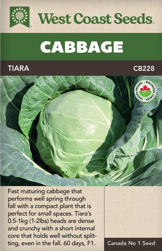 Organic Cabbage Tiara - West Coast Seeds