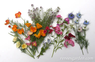 Fairy Garden Mix - Renee's Garden