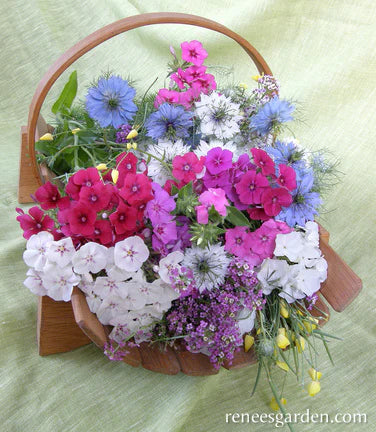 Fairy Garden Mix - Renee's Garden