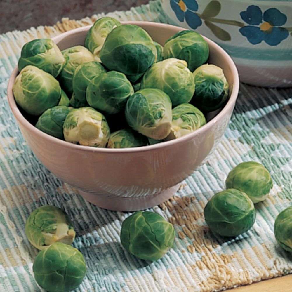 Brussels Sprouts Catskill - Burpee Seeds