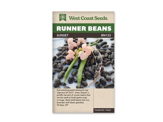 Bean Sunset Runner - West Coast Seeds