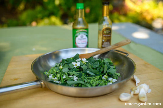 Gai Lan Early Jade - Renee's Garden