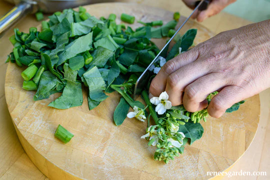 Gai Lan Early Jade - Renee's Garden