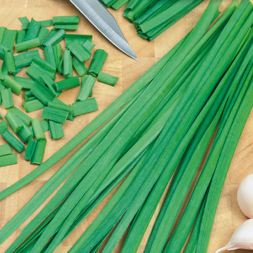 Garlic Chives - McKenzie Seeds