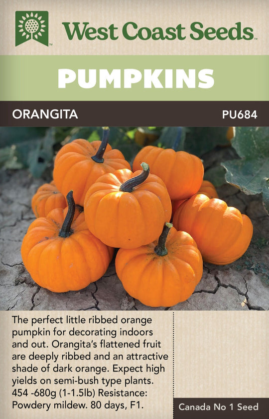 Pumpkin Orangita - West Coast Seeds