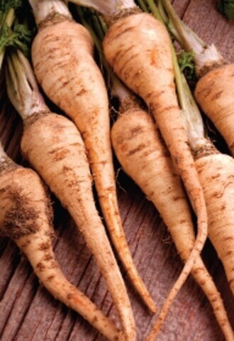 Root Parsley Hamburg - Ontario Seed Company