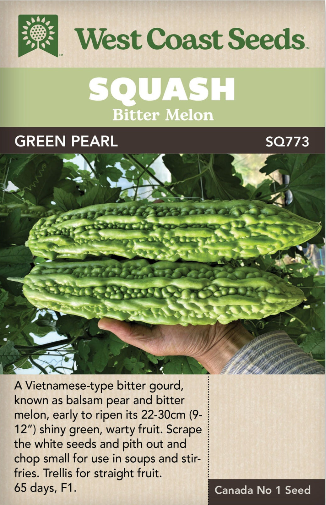 Squash Bitter Melon Green Pearl - West Coast Seeds