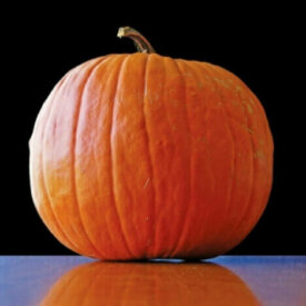 Pumpkin Howden - Ontario Seed Company