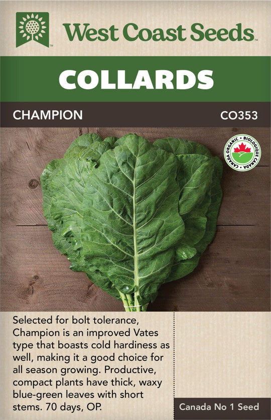 Organic Collards Champion - West Coast Seeds