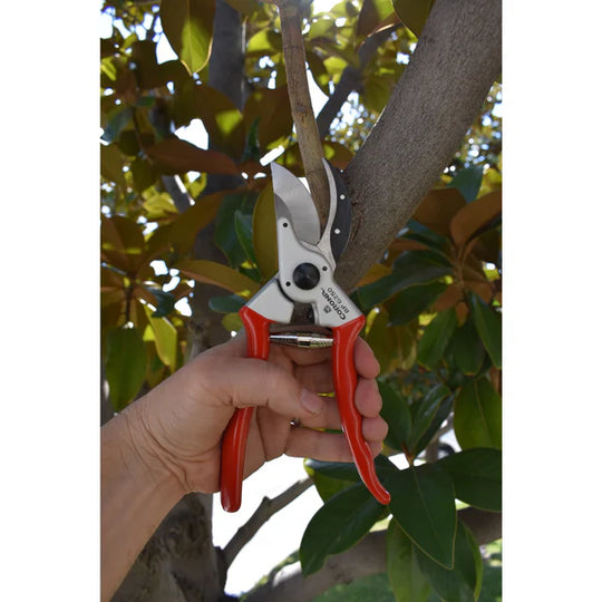 Corona BP 6250 Aluminum Bypass Pruner, 1-Inch Cut Capacity