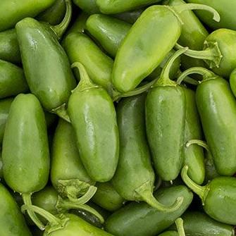 Pepper Jalapeno Early Hot - Saanich Organics