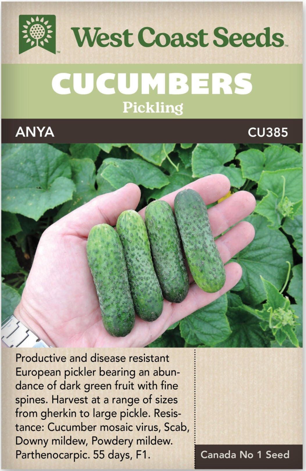 Cucumber Pickling Anya - West Coast Seeds