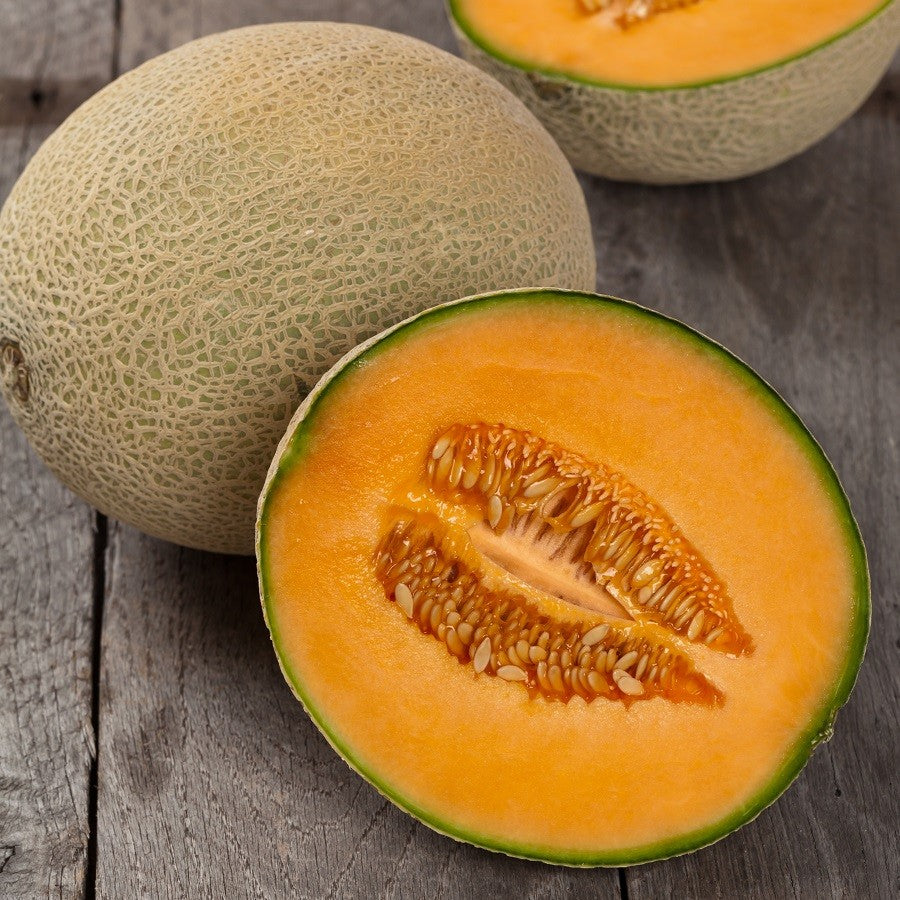 Melon Hale's Best Jumbo - Pacific Northwest Seeds